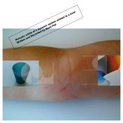 Periodic orbits of a dynamic system related to a  