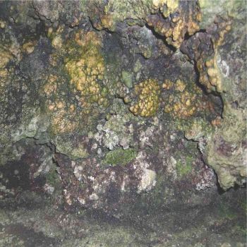 Elemental Disgrace cover art