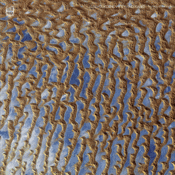 The face of the earth