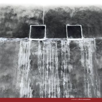 A Life Is Everywhere cover art