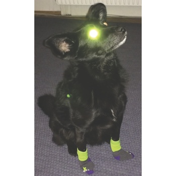 Family of Labels @ Donaufestival Krems 03052014 cover art