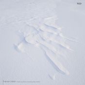 Death is perfection, everything else is relative 