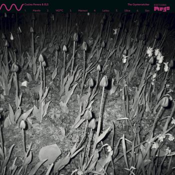 The Oystercatcher cover art