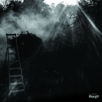 animal électrique cover art