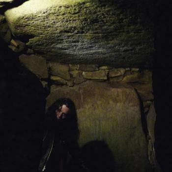 Cocon & Oiseau de Nuit cover art